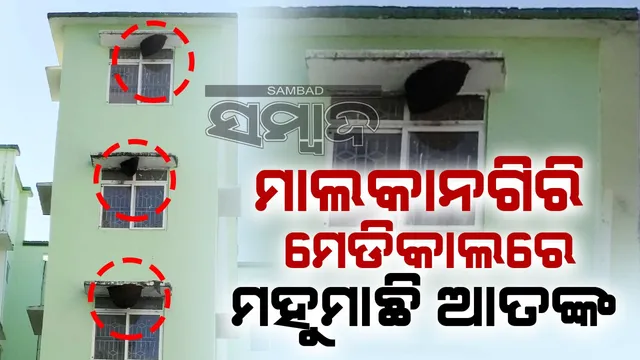 c16718cf-5ebf-41bc-96b6-ad7c60b1b65d