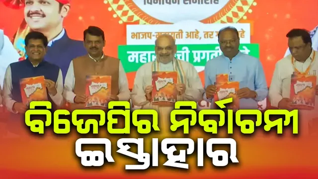 WhatsApp Image 2024-11-10 at 1.41.33 PM