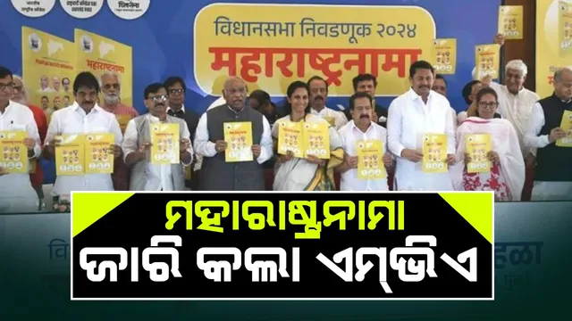 WhatsApp Image 2024-11-10 at 2.22.57 PM (1)