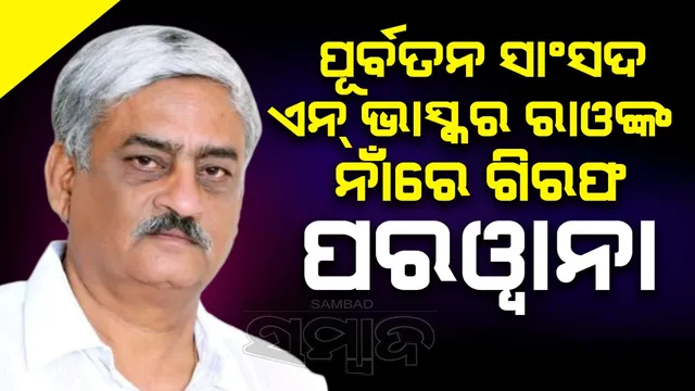 09d13be2-447e-4346-baba-c5d636665355