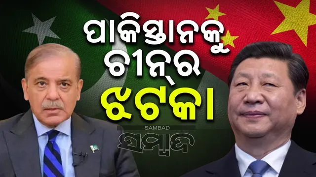 WhatsApp Image 2024-11-13 at 2.59.12 PM