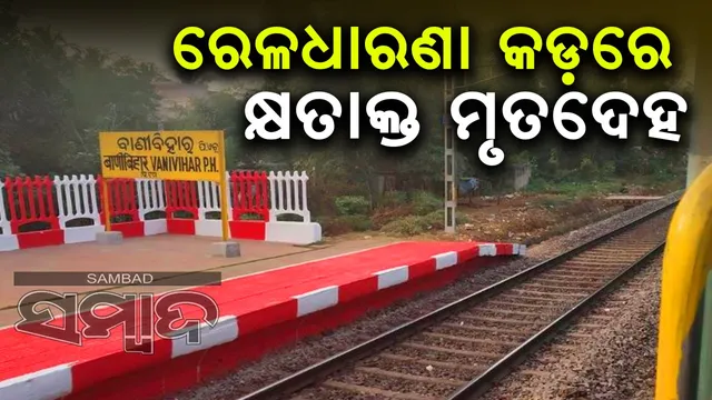 WhatsApp Image 2024-11-17 at 4.00.43 PM