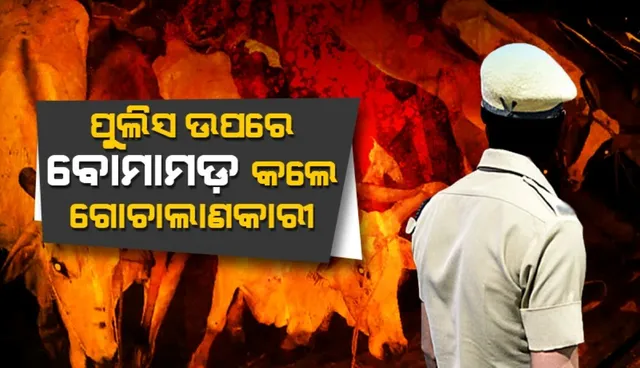 WhatsApp Image 2024-11-21 at 9.54.10 AM