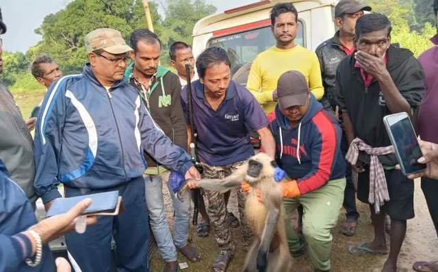 1 WhatsApp Image 2024-11-21 at 10.55.13 AM