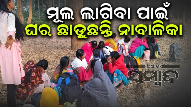 2c3cdcba-bea8-4702-b2e3-929f02a0ac23