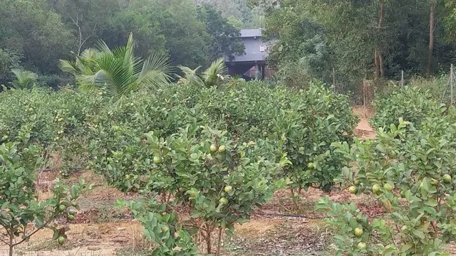 WhatsApp Image 2024-11-25 at 4.02.57 PM