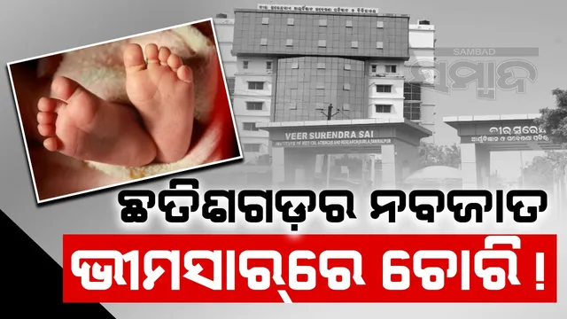 c1c5d5cb-ae6c-4fc8-8223-6b88aaeffb2e