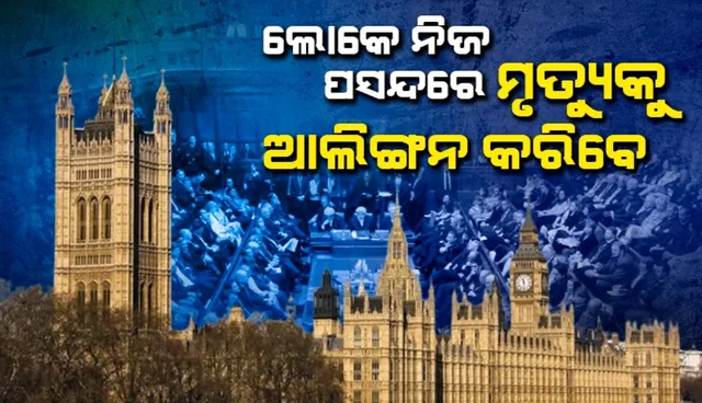 WhatsApp Image 2024-11-30 at 5.08.42 PM