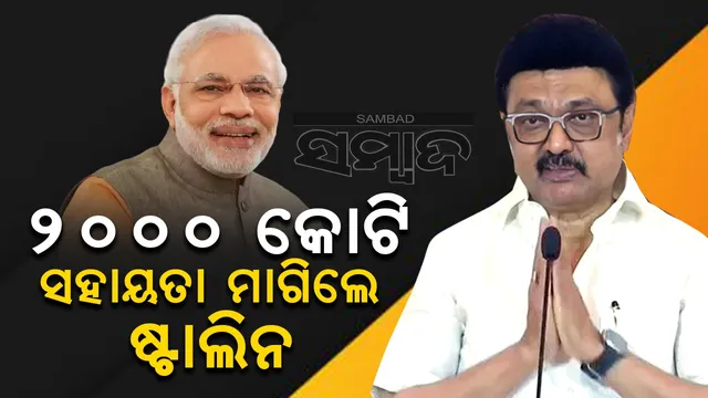 WhatsApp Image 2024-12-03 at 8.08.13 PM