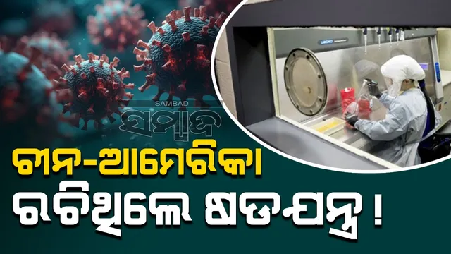 WhatsApp Image 2024-12-03 at 10.27.13 PM