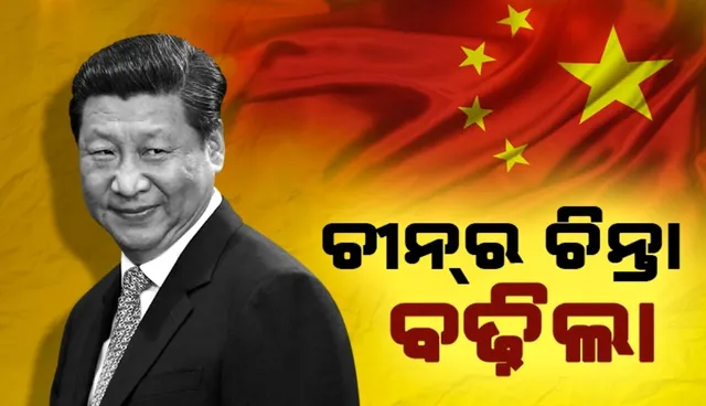 WhatsApp Image 2024-12-05 at 1.22.45 PM