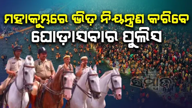 WhatsApp Image 2024-12-10 at 7.01.42 PM