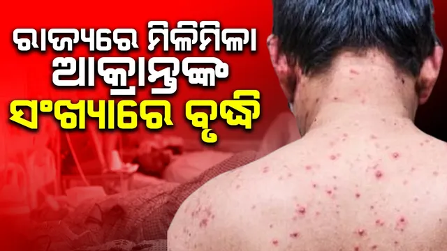 WhatsApp Image 2024-12-13 at 12.04.55 PM