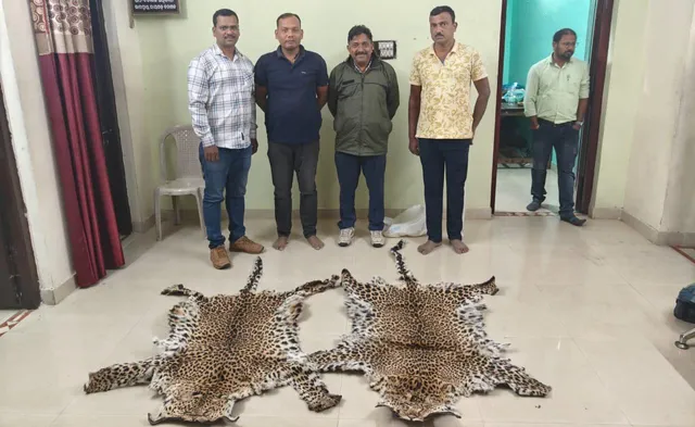 670cf2b7-a34a-41ea-ba1c-c62701236afe