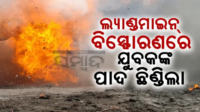 551b8115-bf3e-4924-b02a-e43684f6c59b