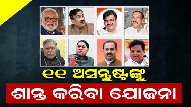 WhatsApp Image 2024-12-17 at 7.53.25 PM