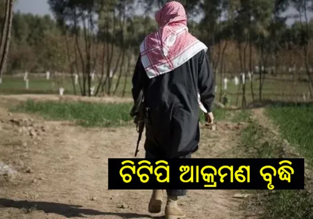 tehreek-e-taliban-pakistan