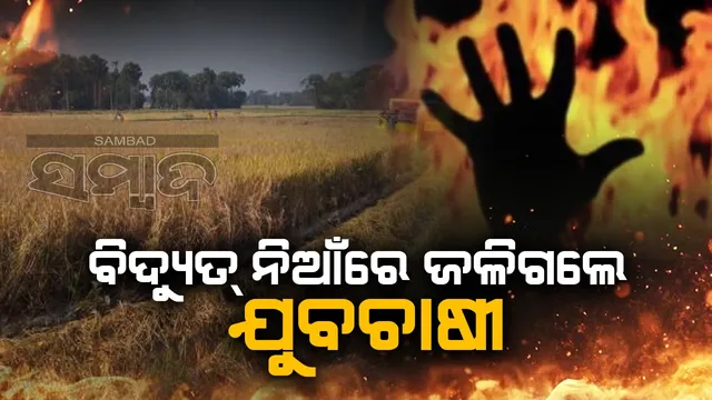 Farmers burned in Chandbali. 