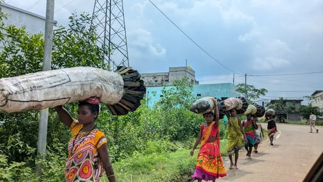massive deforestation for charcoal