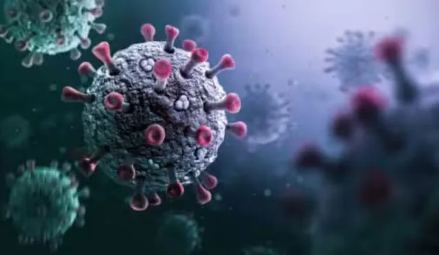 hmpv-detected-in-india