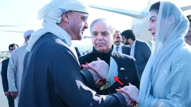 Uproar over handshake with EU president