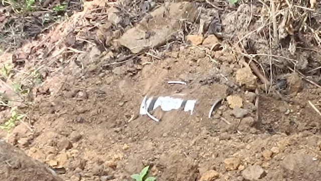 landmine rescued in Chhattisgarh