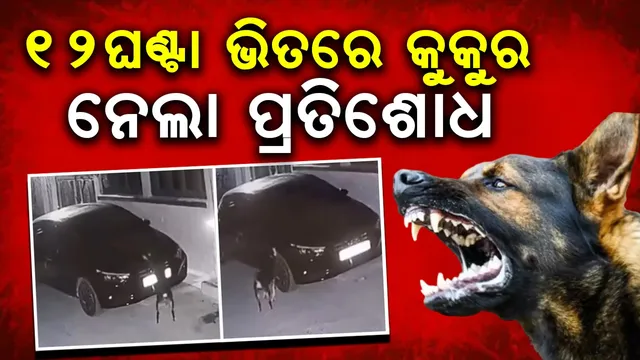 ହଯେଂହଂଯ