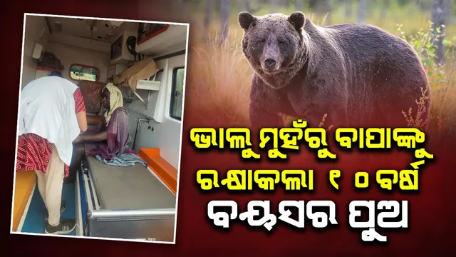 Bear attack in Chhattisgarh.
