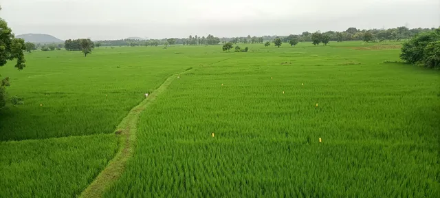 agriculture pm kishan