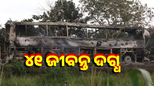 Deadly road accident in Mexico: Bus collides with truck, burns, 41 alive