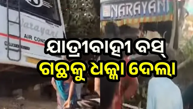 Passenger bus hits tree 