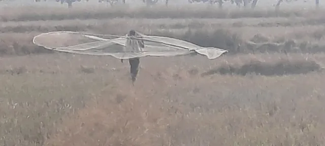 To catch the gunduri   A hunter walks with a net