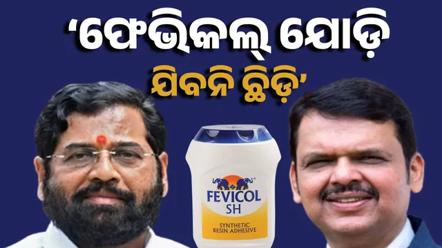 fadnavis and shinde JODI