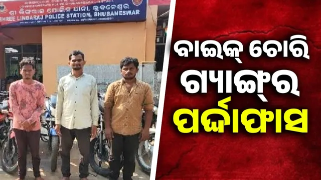 Police nabs bike theft gang: 12 wheels with duplicate keys seized