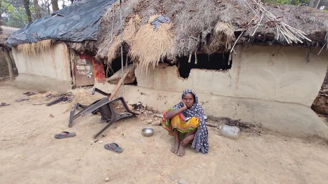 elephant in Baisinga 