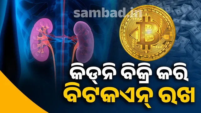 Sell ​​your kidney, keep Bitcoin: Who is going viral with this advice? Find out