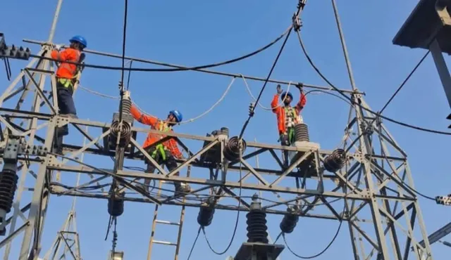 Ignoring employees providing services during emergency: Lineman's Day celebrated without linemen
