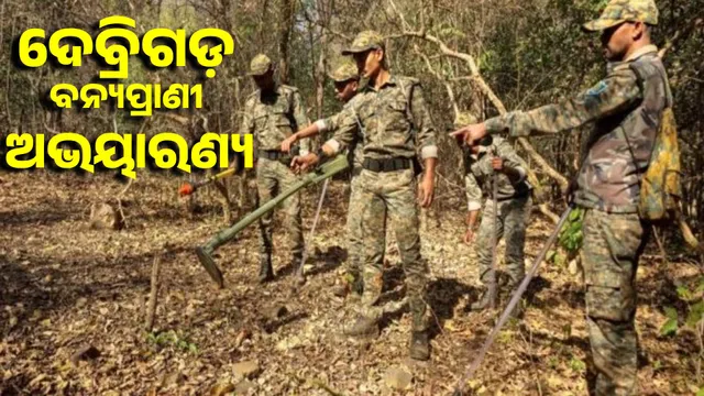 Debrigarh Wildlife Sanctuary declared 'shock free' and 'zero electrocution' zone for 100 km