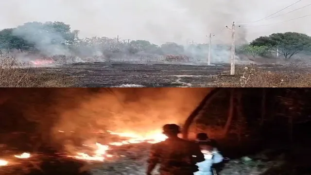 Forest is burning in Sundargarh