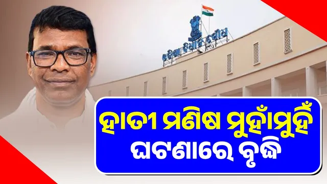 1,209 people killed in elephant attacks in the state in 10 years