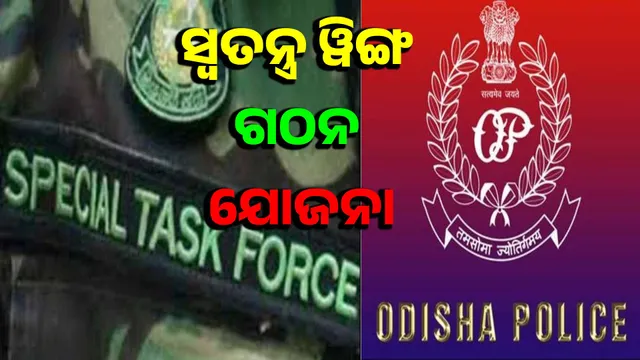 STF to track Bangladeshi infiltrators in Odisha