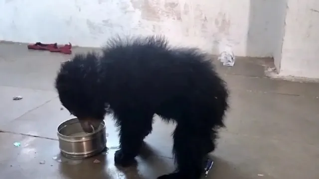 ୍ମତଦକନ୍