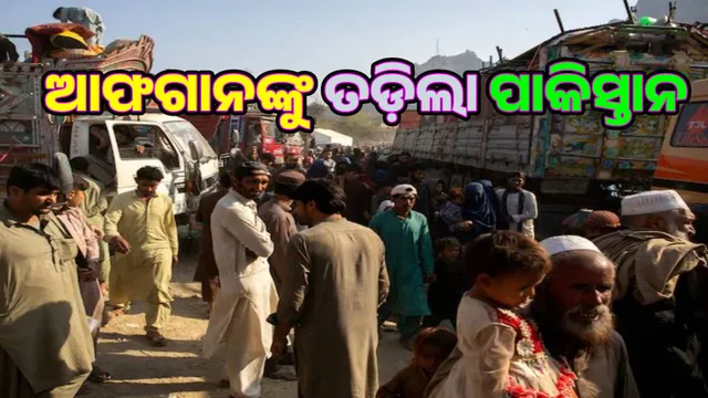 Pakistan is forcibly expelling Afghans: 11,371 people expelled