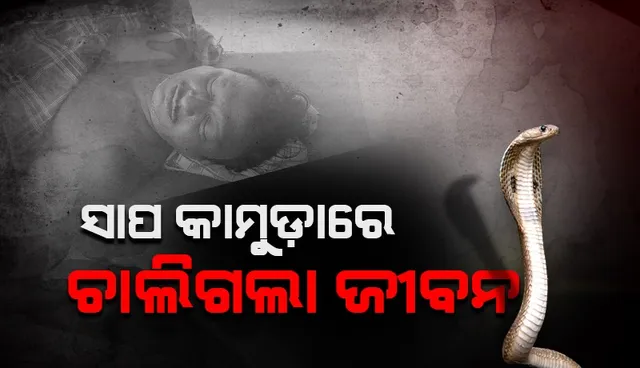 ସ୍ନେକ୍‌