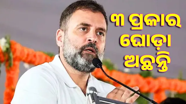 Race horses and wedding procession horses are different: Rahul