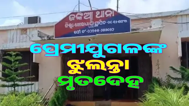 bodies of lovers hanging from a tree