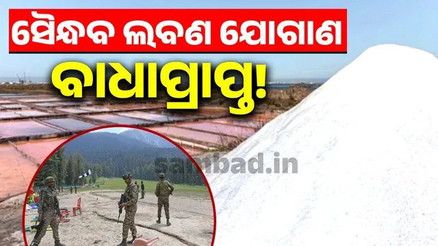 Impact of Pahalgam attack: Salt supply in Sindh may be disrupted