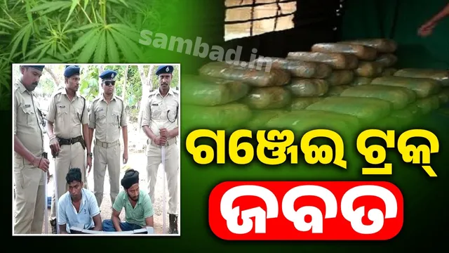 Truck with ganja worth Rs 1 crore seized in Khandagiri area: Ganja was hidden behind cardboard packets