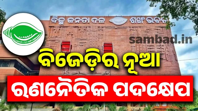 BJD strengthened the organizational structure: different responsibilities to senior leaders