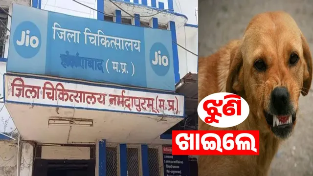 dog ate the dead body in the hospital